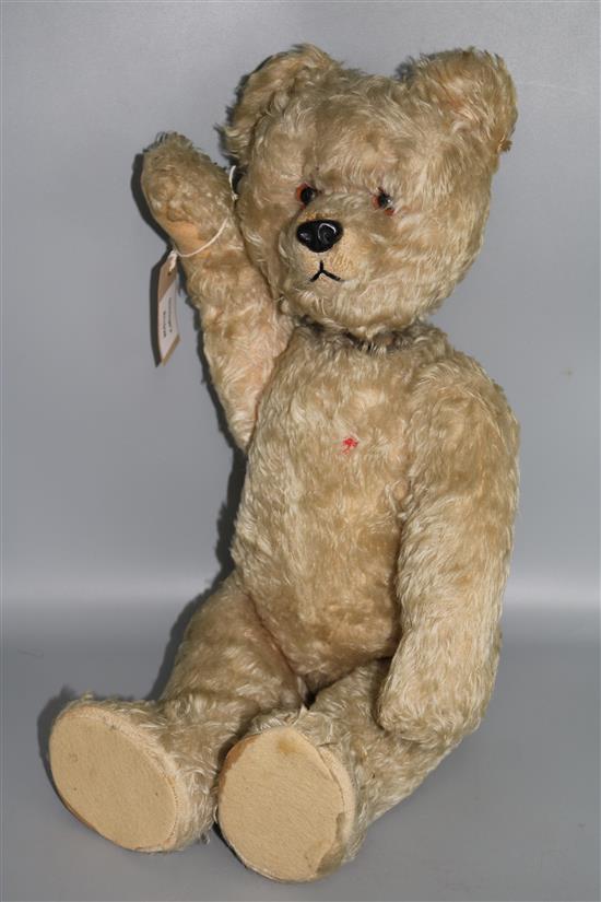 A musical teddy bear